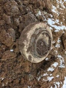 Read more about the article Robotnicy budwlani natknęli się na minę. Saperzy w drodze