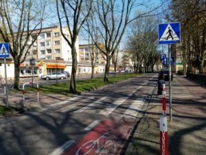 Read more about the article Kolejny przetarg na zagospodarowanie pasa zieleni wzdłuż Al. Św. Jana Pawła II. Może tym razem?