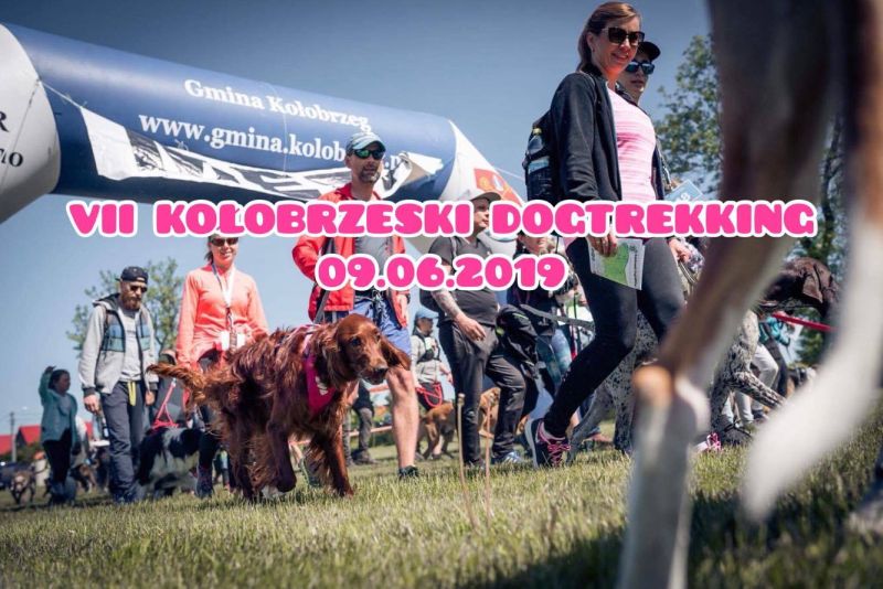 You are currently viewing Wkrótce VII Dogtrekking, czyli bieg z psem na orientację. Najwyższa pora się zapisać