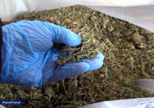 Read more about the article Policja rozbiła grupę handlującą narkotykami. 26 osób stanie przed sądem