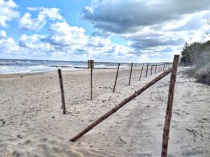 Read more about the article Na plaży stawiana jest leśna siatka, żeby ludzie nie niszczyli wydm
