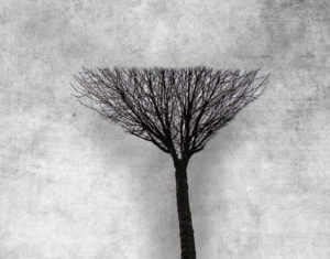 Read more about the article Piątek, RCK, wernisaż wystawy „Strefa Wyobraźni”, godz. 19, wstęp wolny