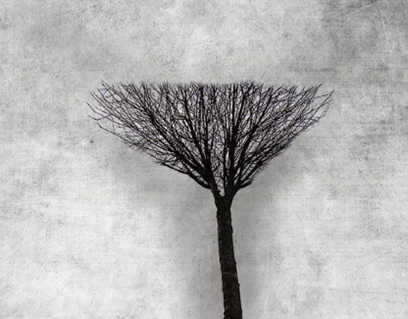 You are currently viewing Piątek, RCK, wernisaż wystawy „Strefa Wyobraźni”, godz. 19, wstęp wolny