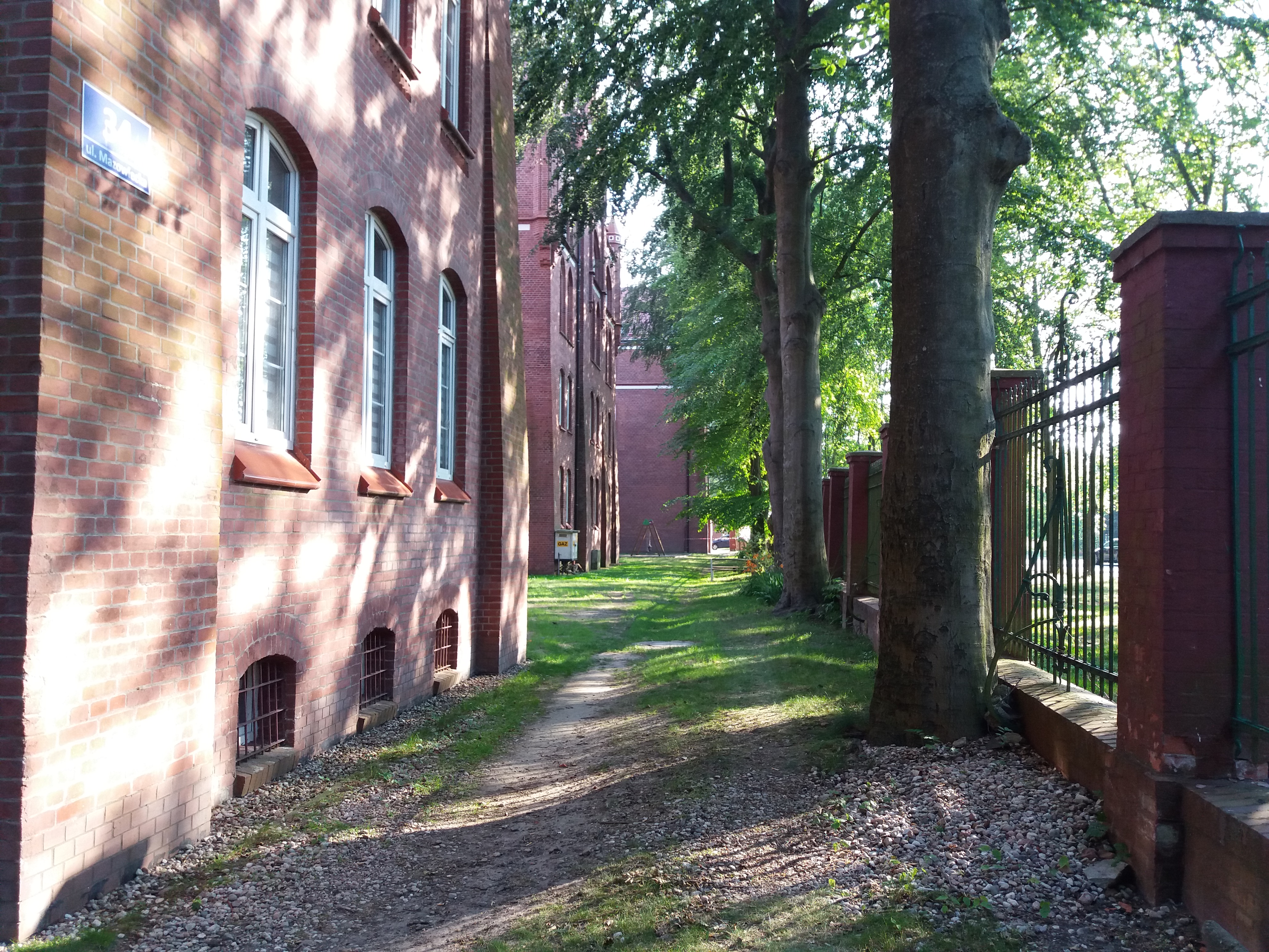 You are currently viewing Spółdzielnia mieszkaniowa chce wyciąć osiem, dużych buków przy ul. Mazowieckiej