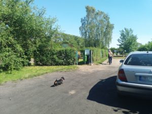 Read more about the article O petycji mieszkańców ws. modernizacji tego placu pisaliśmy półtora roku temu. Dziś ukazało się ogłoszenie o przetargu