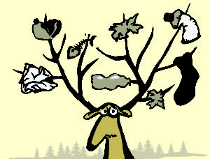 Read more about the article Sobota, Wielkie Sprzątanie Brzegów Parsęty, godz. 11, wstęp wolny