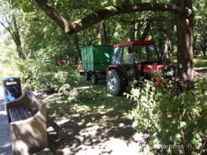Read more about the article Porządki w miejskich parkach w okresie lęgowym ptaków. Czy na pewno są konieczne?