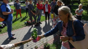 Read more about the article Zielony WIR, czyli bezgotówkowa wymiana roślin (galeria zdjęć)