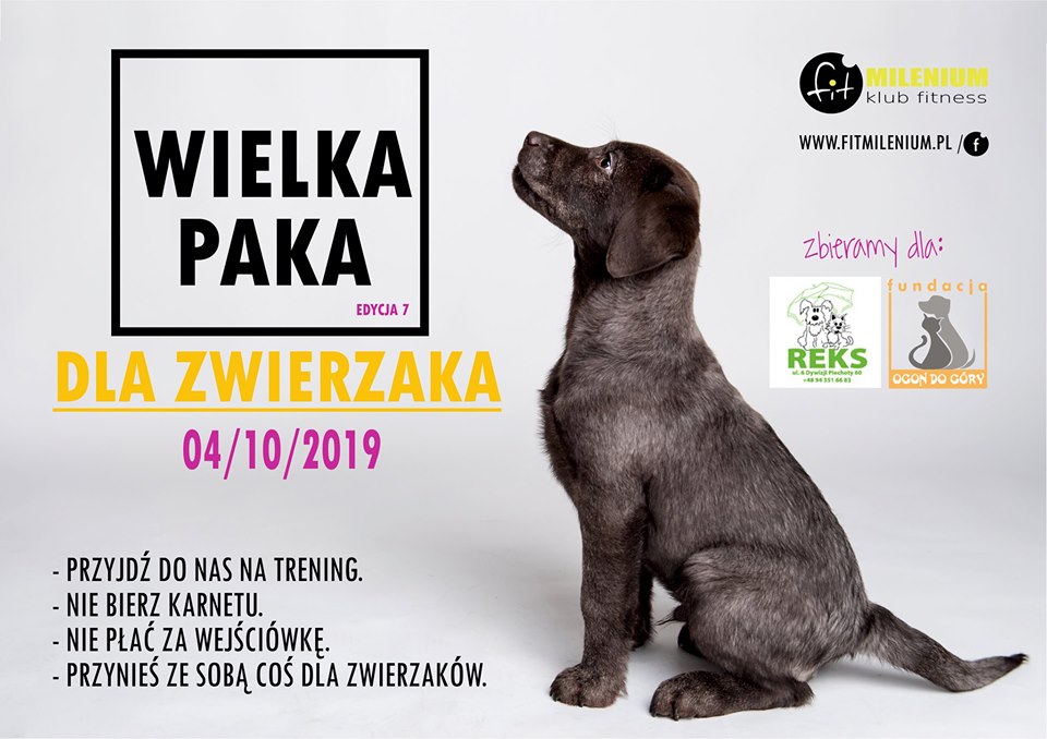 You are currently viewing Piątek, Milenium Klub Fitness, „Wielka paka dla zwierzaka”, godz. 17 do 20.30