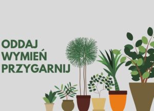 Read more about the article Niedziela, skwer przy ul. Dubois, bezgotówkowa wymiana roślin, godz. 12, wstęp wolny