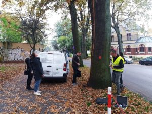 Read more about the article Ten piękny dąb miał pecha. Uderzył w niego piorun i prawdopodobnie zostanie wycięty