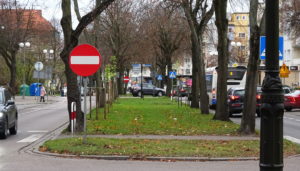 Read more about the article Tym razem się uda? Czekamy na rozstrzygnięcie kolejnego przetargu na upiększenie pasa zieleni wzdłuż Alei Św. Jana Pawła II