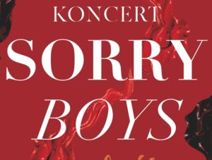 Read more about the article Piątek, RCK, koncert zespołu Sorry Boys, godz. 20, bilety 40zł/50zł