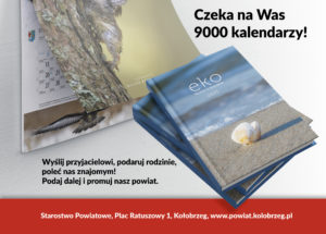 Read more about the article Darmowe kalendarze ścienne i książkowe na 2020 roku