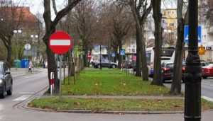 Read more about the article Dużo drzew w mieście jest chorych lub już obumarłych i kwalifikuje się do wycinki. Z centrum może ich sporo ubyć