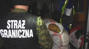 Read more about the article Straż Graniczna zarekwirowała worki z krajanką tytoniową. W sumie 21 worków