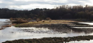 Read more about the article Urokliwe rozlewiska Parsęty w okolicach Ząbrowa i Pustar (galeria zdjęć)