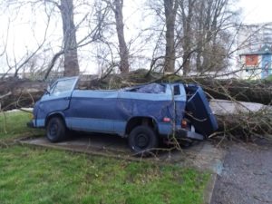 Read more about the article 46 interwencji Straży Pożarnej. Przy ul. Zygmuntowskiej drzewo spadło na samochody