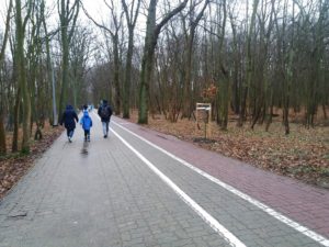 Read more about the article Green Carpet ze Szczecina zinwentaryzuje drzewa kolidujące z przebudową promenady. Kiedy może ruszyć sama przebudowa?