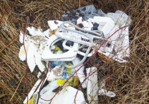 Read more about the article Tak wyglądają w mieście „malownicze” brzegi Parsęty. Mieszkańcy apelują by w końcu coś z tym zrobić