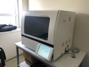 Read more about the article W Szczecinie od jutra na wynik testów na koronawirusa będziemy czekać nie trzy dni, a tylko cztery godziny