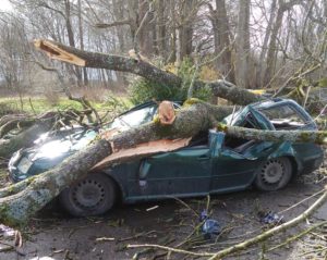 Read more about the article 18 interwencji strażaków. Drzewo upadając zahaczyło mężczyznę, inne zgniotło samochód