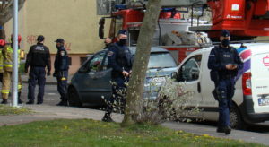 Read more about the article Wlazł kotek na drzewo i… utknął (zdjęcia, wideo)