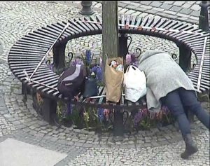 Read more about the article Jakby nigdy nic wyrywała z ozdobnego klombu w centrum miasta hiacynty z cebulkami. Na gorącym uczynku złapali ją strażnicy miejscy