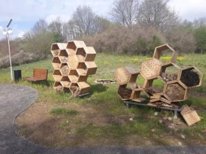 Read more about the article Wandale zniszczyli miejsca lęgowe owadów. Z sadzonek drzew rozpalili ognisko