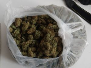 Read more about the article Miał w domu blisko 40 gramów marihuany. Teraz grozi mu do 3 lat więzienia