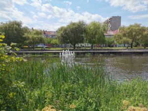 Read more about the article Fontanny na Parsęcie już działają. Swoje wodotryski włącza też miasto, choć w ograniczonym zakresie