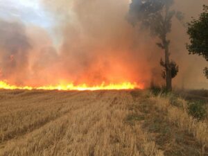 Read more about the article Wywrotka zerwała linię energetyczną i ścierniska zaczęły płonąć (ZDJĘCIA)