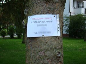 Read more about the article „Znaleziono telefon…”, „Sprzedam działkę…”, czyli ogłoszenia przypięte do drzew przy ul. Dubois