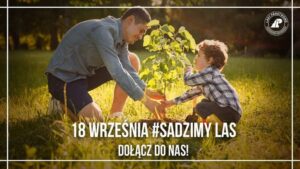 Read more about the article 18 września sadzimy las! Nadleśnictwo Gościno będzie rozdawać sadzonki