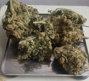 Read more about the article Mężczyzna miał w mieszkaniu narkotyki. Teraz grozi mu kara do 3 lat więzienia