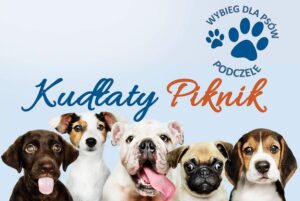Read more about the article Sympatyczne: Kudłaty Piknik na osiedlu Podczele