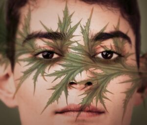 Read more about the article 28 października, RCK, DKF „Sztorm”/ film „Szarlatan”, godz. 19, bilety 12 zł