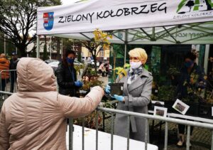 Read more about the article Sadzonka na zachętę. Te odpady nie powinny trafiać do „zwykłego” śmietnika