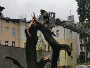 Read more about the article W taką pogodę drzewa łamią się jak zapałki (ZDJĘCIA)