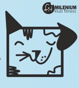 Read more about the article Jutro Wielka Paka dla Zwierzaka – pomagasz i ćwiczysz za darmo