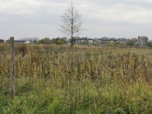 Read more about the article Przetarg na budowę miejskiego osiedla ogłoszony. Firmy zainteresowane zleceniem mogą składać oferty do 1 grudnia