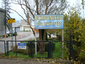 Read more about the article Nie będzie nowego schroniska dla bezdomnych zwierząt przy „Zieleni”. Powód? Kolizja ze stacją paliw
