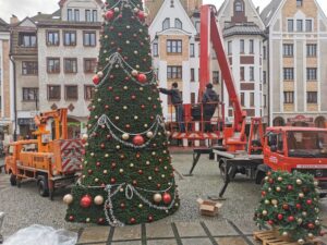 Read more about the article Dziś na placu przed ratuszem stanęła miejska choinka (ZDJĘCIA)