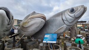 Read more about the article Kilkumetrową rybę z ul. Mickiewicza na aukcji WOŚP licytuje dziś sześć osób. Ile za taaaaką rybę?