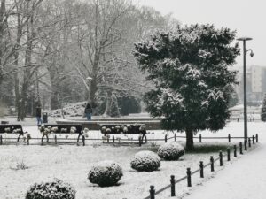 Read more about the article Biały Nowy Rok. Zobacz piękny Kołobrzeg w zimowej szacie (ZDJĘCIA, WIDEO)