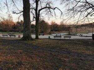 Read more about the article W przyszłym tygodniu koniec przebudowy alejek w parku Dąbrowskiego (ZDJĘCIA)