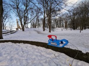 Read more about the article Z górki na pazurki, czyli wielki powrót saneczkowego szaleństwa