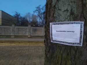 Read more about the article Klepsydry na kasztanowcach czerwonych przy ul. Szpitalnej. Drzewa zostały wskazane do wycinki