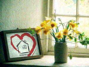 Read more about the article Pola Nadziei. Hospicjum podliczyło dzisiejszą zbiórkę