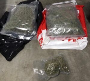 Read more about the article Policja zarekwirowała 2 kilogramy marihuany. 39-latkowi z Kołobrzegu grozi teraz nawet 12 lat odsiadki